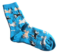Load image into Gallery viewer, Shiba Inu Socks
