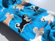 Load image into Gallery viewer, Shiba Inu Socks